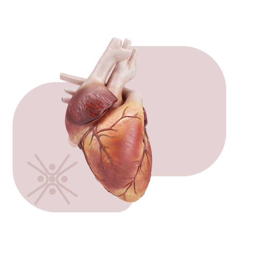 Cardiology Sattva Homeocare - Best Homeopathic Clinic in Hyderabad