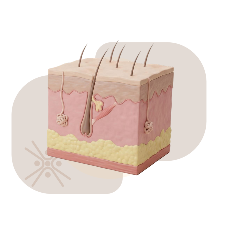 Dermatology Sattva Homeocare - Best Homeopathic Clinic in Hyderabad