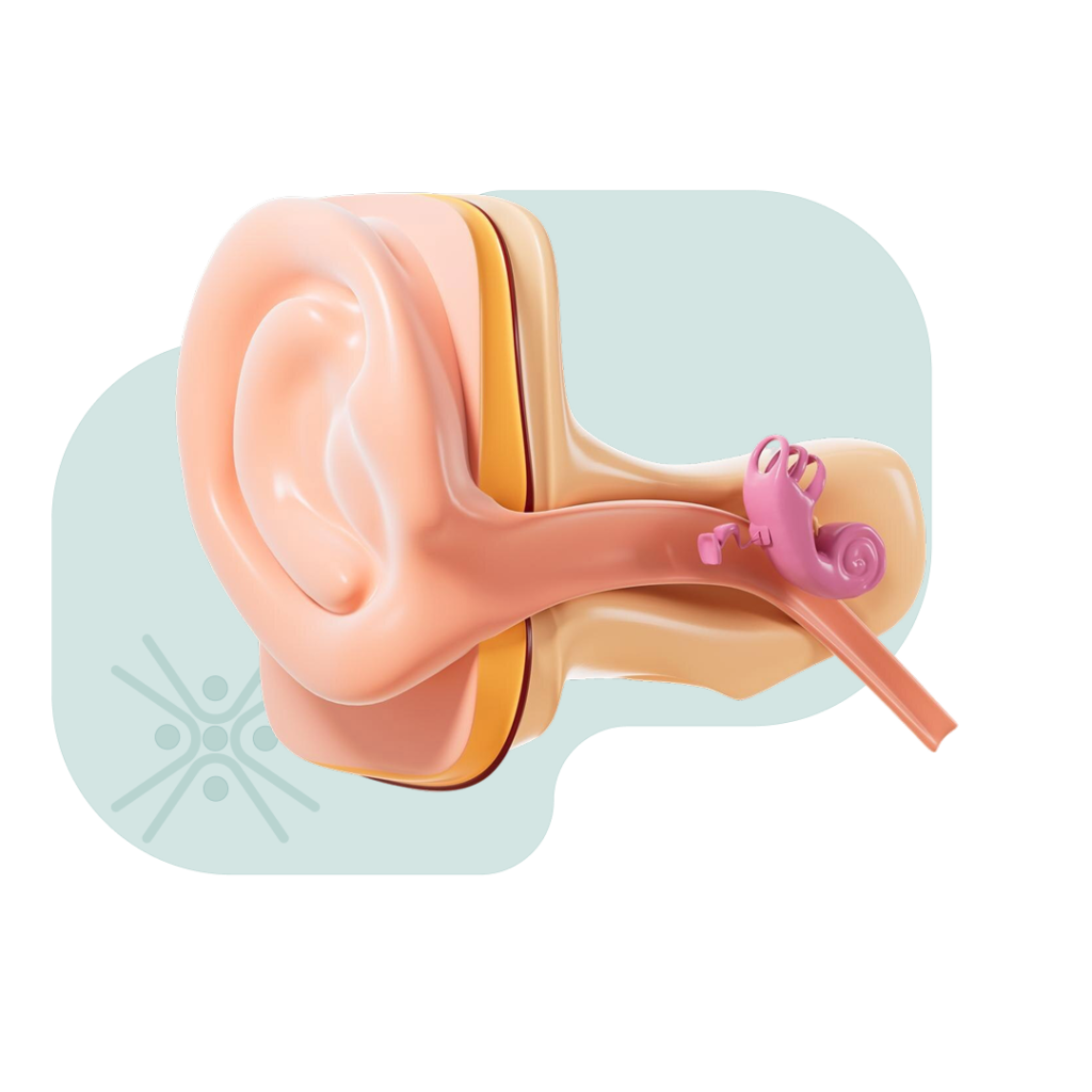 ENT - Sattva Homeocare - Best Homeopathic Clinic in Hyderabad