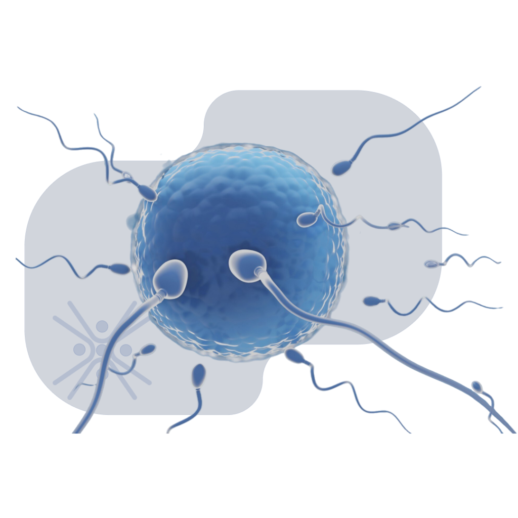 Fertility Sattva Homeocare - Best Homeopathic Clinic in Hyderabad