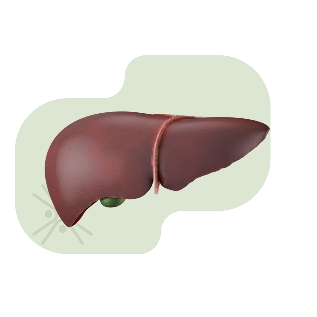 Hepatology Sattva Homeocare - Best Homeopathic Clinic in Hyderabad