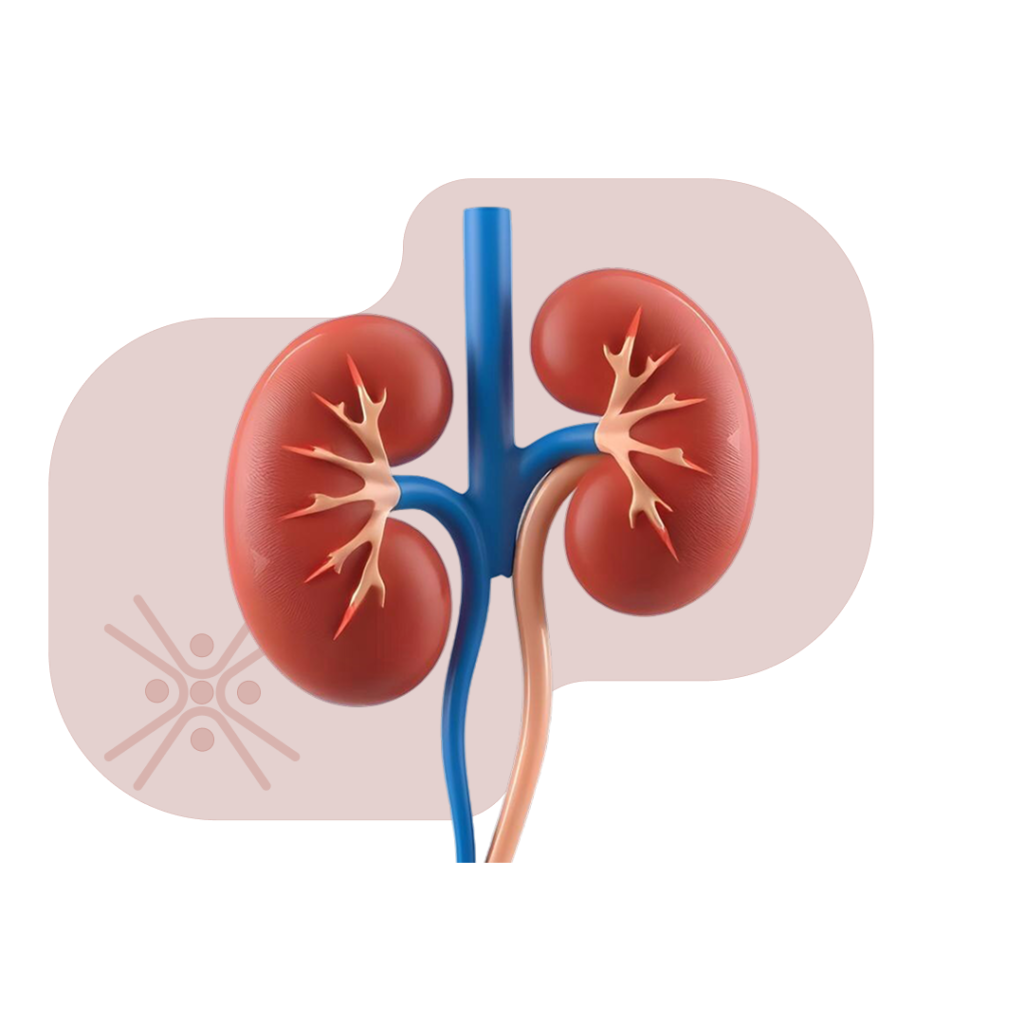 Nephrology Sattva Homeocare - Best Homeopathic Clinic in Hyderabad